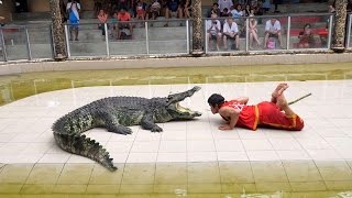 Thailand Crocodile Farm - The most DANGEROUS job in the world?