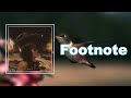 Conan Gray Footnote Lyrics