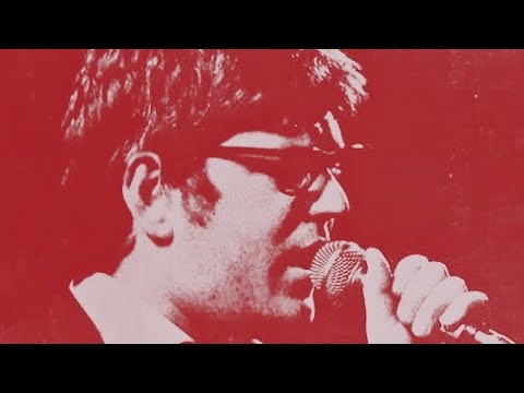 THE NIGHTINGALES John Peel 3rd March 1985