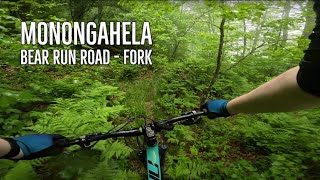 Using Bear Run Road to access the water bar downhill section of Fork Mountain Trail.