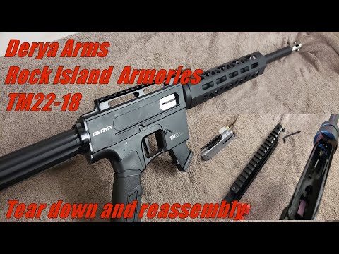 Derya/RIA TM-22-18 tear down