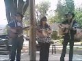 Michael Deese   My Real World Of Make Believe live