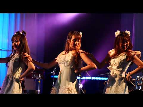 191123 Daisy Daisy - Heal (JJ Focus) @ CAT EXPO 6 [Fancam 4k60p]