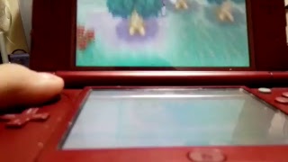 のんきにどうぶつの森やりま〜す！
