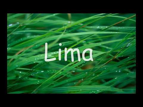 Margie ft Dek Arya   Ngubuh Tuyul