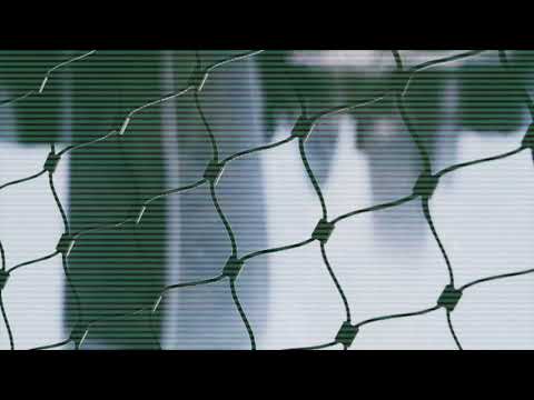 Nu Zau - Essence night