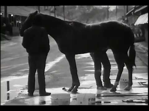 Palace Brothers "Ohio River Boat Song" (Official Music Video)