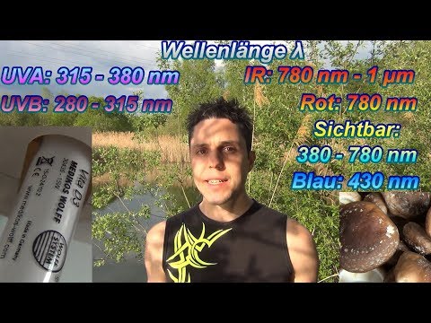 Welche Konkremente das Ekzem behandeln Die Salbe mikrobnuju das Ekzem zu behandeln