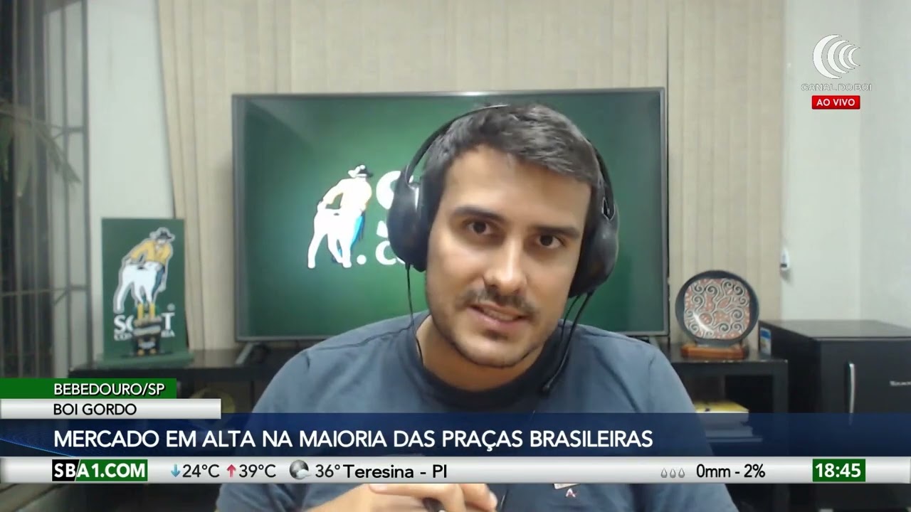 Mercado do boi gordo em alta na maioria das praças brasileiras
