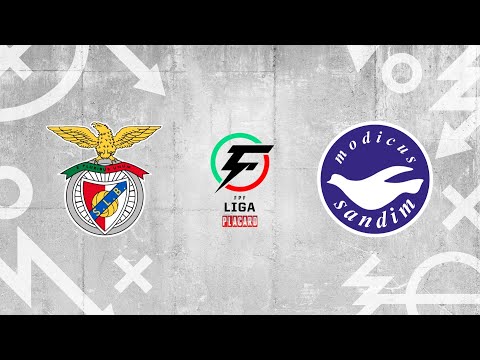 Liga Placard, 24ª jorn.: SL Benfica 6-2 Modicus Cartest