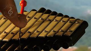 Sansa-Rimba Mysteria Outdoor Instrument video thumbnail 1