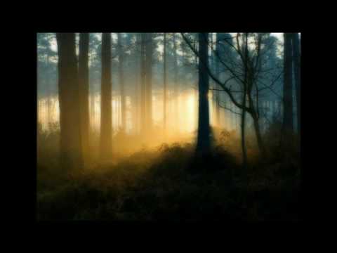 GhiesteS ---- Summer!