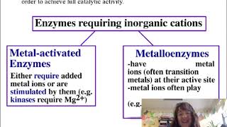 Enzyme Cofactors: Essential Ions