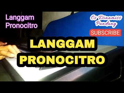Langgam Pronocitro Style Manual Sampling Kendang