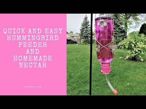 Attract Hummingbirds with this Feeder and Homemade Nectar
