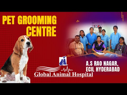 Global Animal Hospital - A.S. Rao Nagar