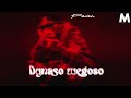 Dynaso Wegoso Paver Official Visualizer