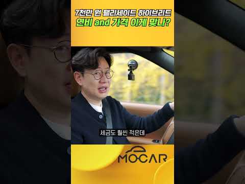 팰리세이드 하이브리드 7000만원에 이 연비...이거 맞나