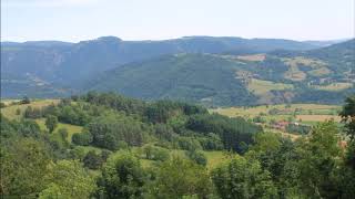 Guest List - Eels (cover)