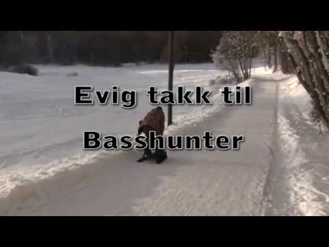 Aleksander Salamander - En Vakker Dag (Musikkvideo)