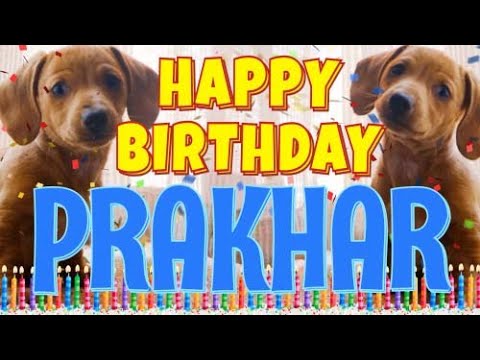 Happy Birthday Prakhar! ( Funny Talking Dogs ) What Is Free On My Birthday