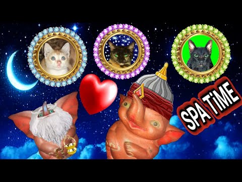 Cat's SPA TIME PART 1 =EDITING BY MANIK CHAAD #cats #cat #funny #kitten #viralvideo #comic #viral
