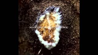 Music video thumbnail preview for Non Opus Dei - Szaleniec, Głupiec, Opętany by Non Opus Dei