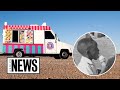 The Racist History of The Ice Cream Truck Song | Genius News