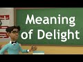 meaning of delight | meaning of delighted in Hindi | meaning of delighted in English .