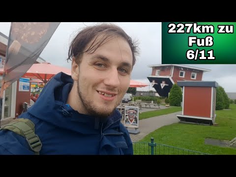 227 km on foot via Heidschnuckenweg (day 6/11): Schneverdingen - Behringen - Bispingen (19 km)
