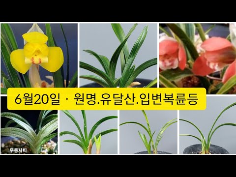 유튜브 썸네일