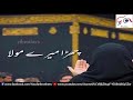 Gunhaon Ki Adat Chura Mere Maula
