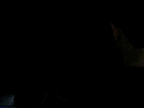 Flutuance - Euphoria festival