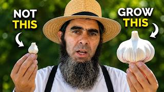 Watch This Before You Plant Garlic