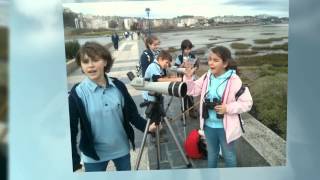 preview picture of video 'observación de aves'