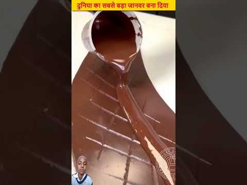 Chocolate Ka dinosaur😱😳 #facts #chocolate #amazingfacts #viralvideo #shorts