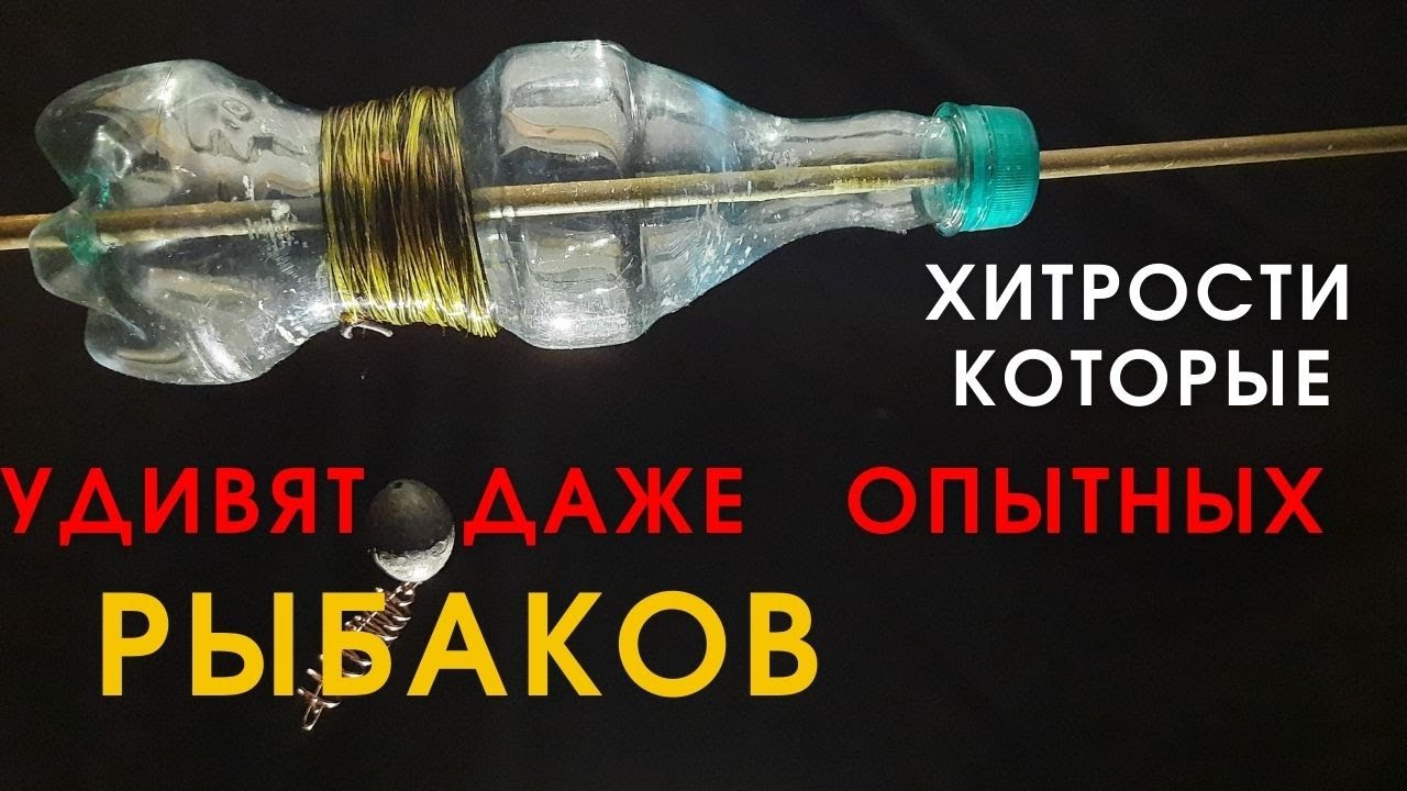 ��������� ����� �� ����� - ��� ������ ����