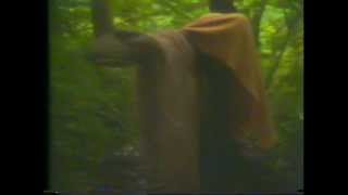 Mystic Test