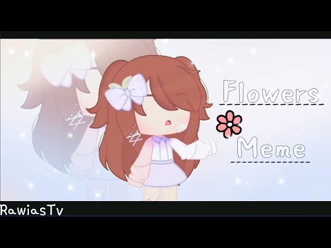 🌸 | Flowers Meme | 🌸 By Rawia's Tv 🌱| Tweening |🌱