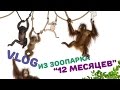 VLOG из ЗООПАРКА / Смешные животные   / Диана Суворова 