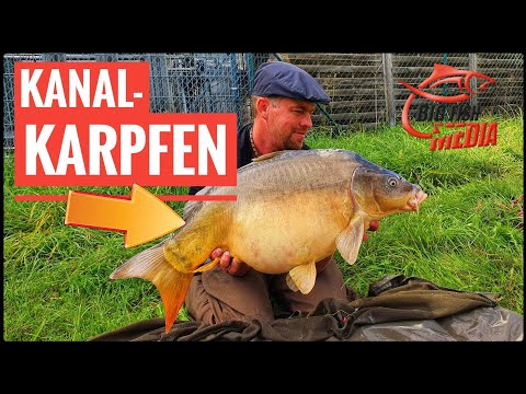Karpfenangeln am Kanal: Fisch auf Fisch - so funktioniert's | Gregor trifft den Profi - GEWINNSPIEL