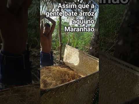 interior do Maranhão Pirapemas