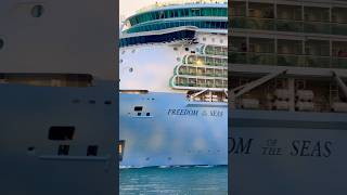 Freedom of the Seas 🛳️ #royalcaribbean #travel #cruiseship #cruise #vacation #shorts #travelshorts