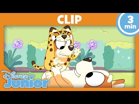 🐾 Echt wild! | Bluey