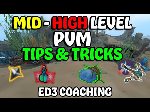 Coaching a High Level Player at ED3 - Improve At PvM In RuneScape