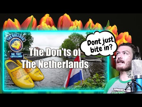 American Reacts To The Don'ts of The Netherlands