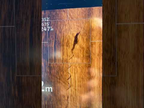 Reported croc sighting at Noosa sparks investigation