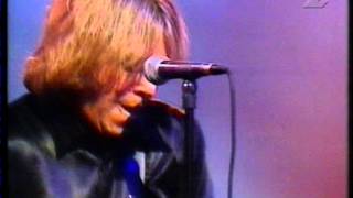 Per Gessle - Stupid - www.dailyroxette.com