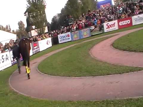 121. Velká pardubická - paddock