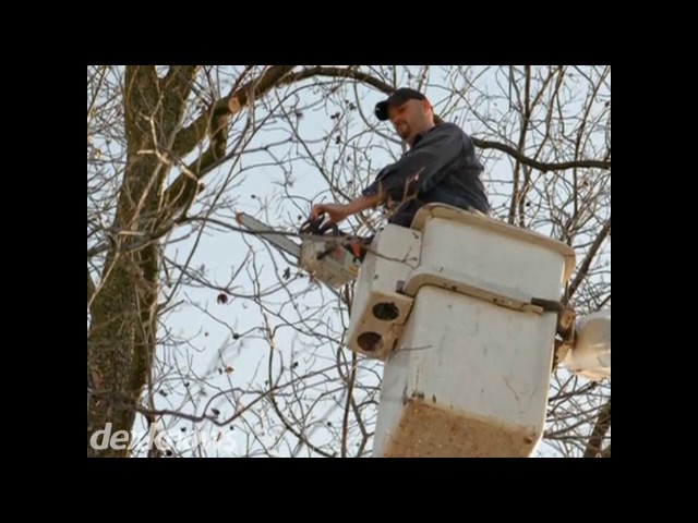 Enchanted Forests Inc - Jordan, MN